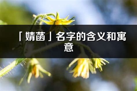 菡名字意思|「若菡」名字的含义和寓意